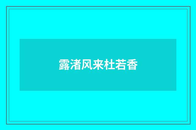露渚风来杜若香