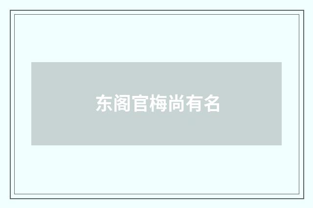 东阁官梅尚有名
