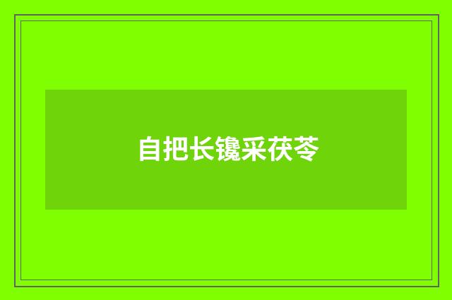 自把长镵采茯苓