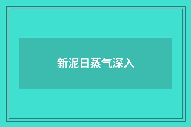 新泥日蒸气深入