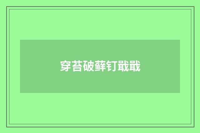 穿苔破藓钉戢戢