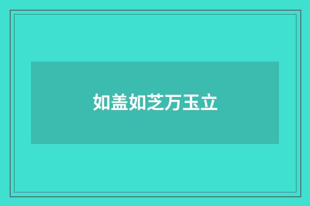 如盖如芝万玉立