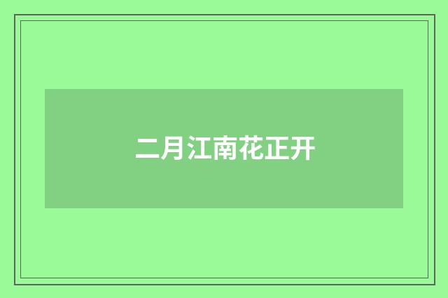 二月江南花正开