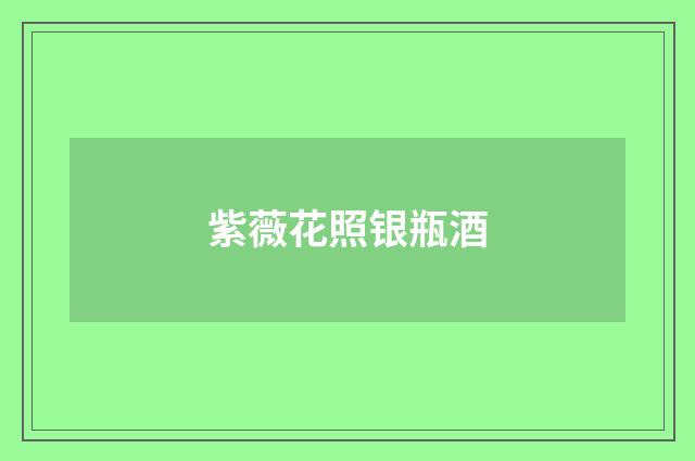 紫薇花照银瓶酒