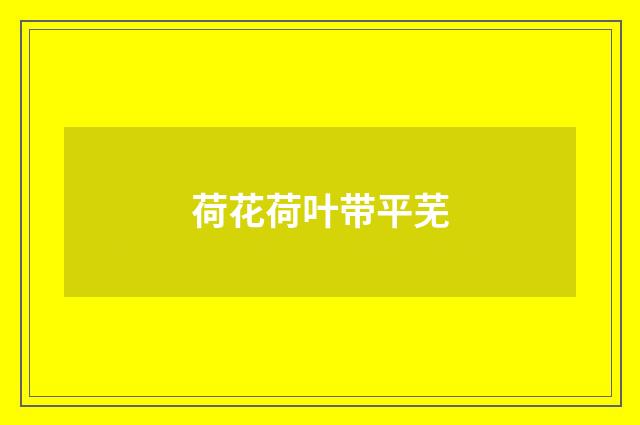 荷花荷叶带平芜