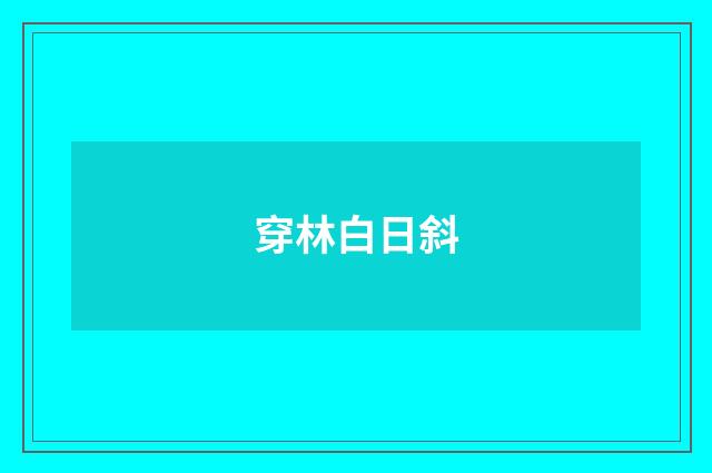 穿林白日斜
