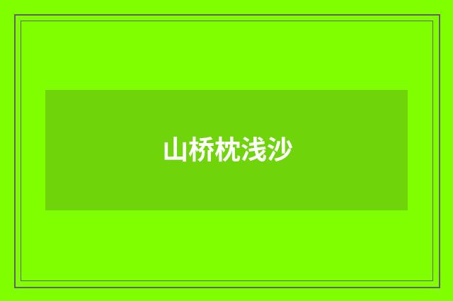 山桥枕浅沙