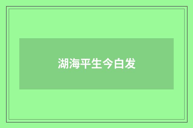 湖海平生今白发