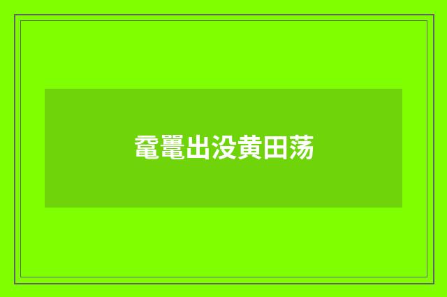 鼋鼍出没黄田荡