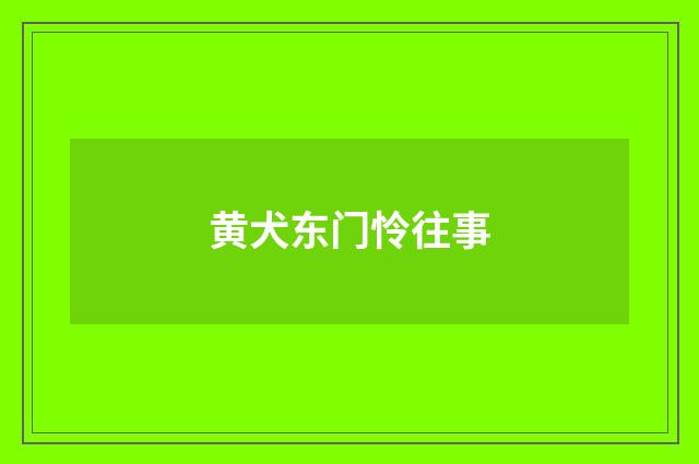 黄犬东门怜往事