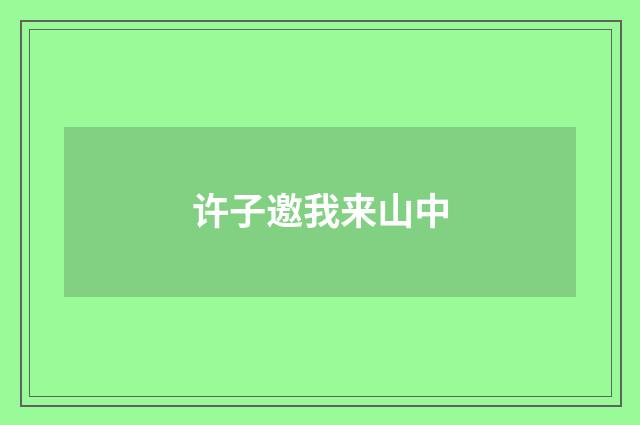 许子邀我来山中