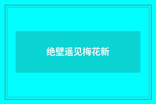 绝壁遥见梅花新