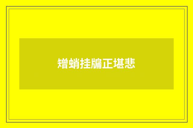矰蛸挂牖正堪悲