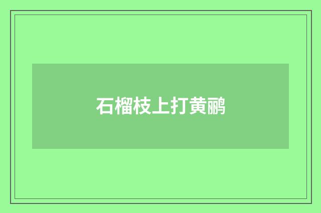 石榴枝上打黄鹂