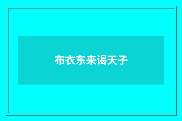 布衣东来谒天子