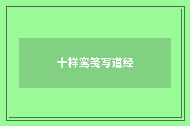 十样鸾笺写道经