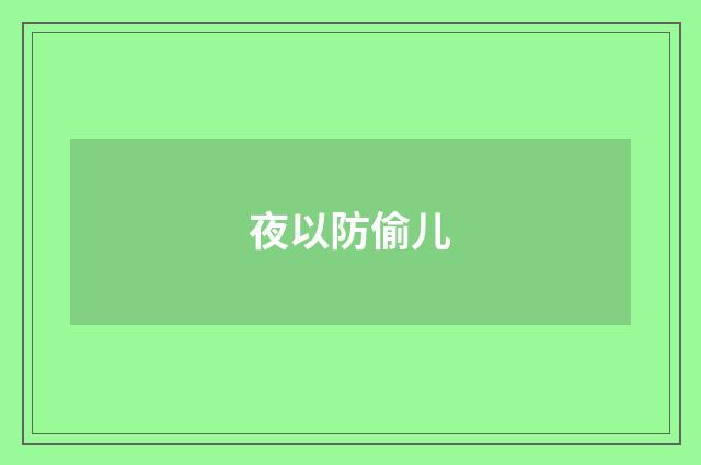 夜以防偷儿