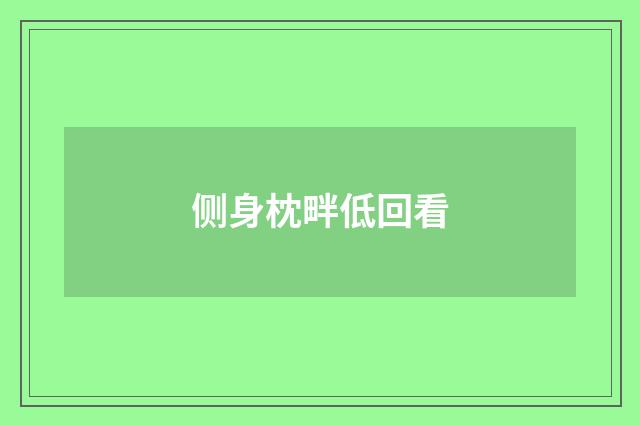 侧身枕畔低回看