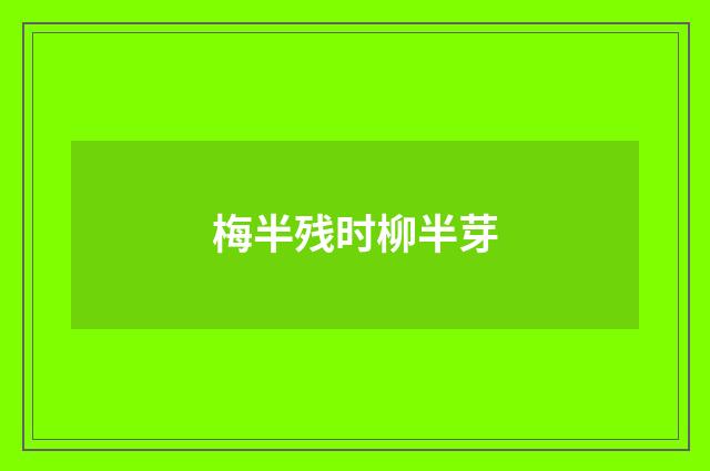 梅半残时柳半芽