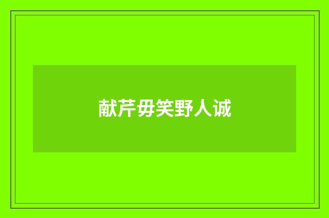 献芹毋笑野人诚