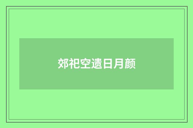 郊祀空遗日月颜