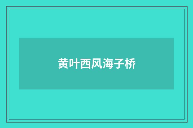 黄叶西风海子桥