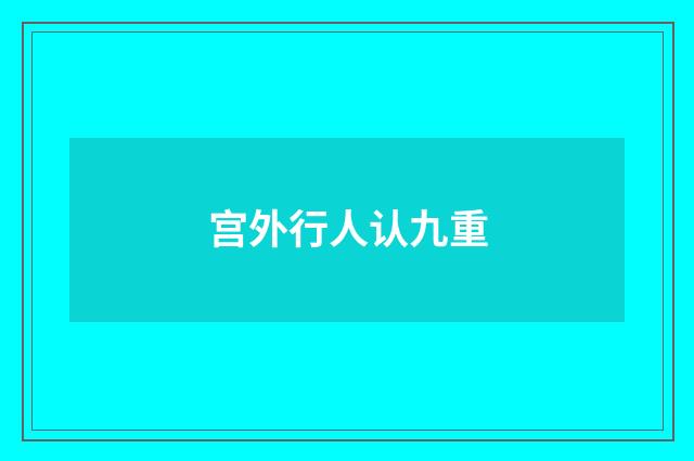 宫外行人认九重