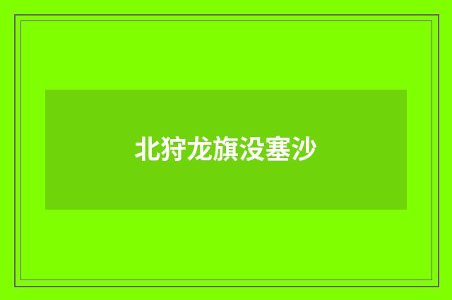 北狩龙旗没塞沙