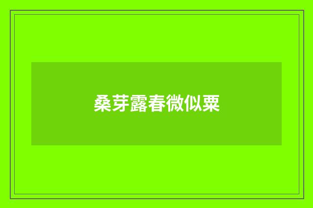 桑芽露春微似粟