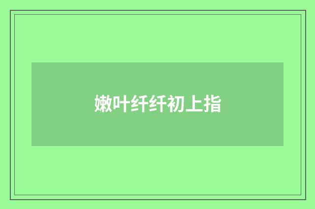 嫩叶纤纤初上指