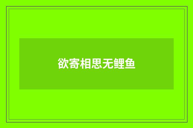 欲寄相思无鲤鱼