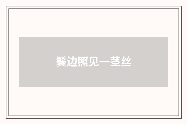 鬓边照见一茎丝