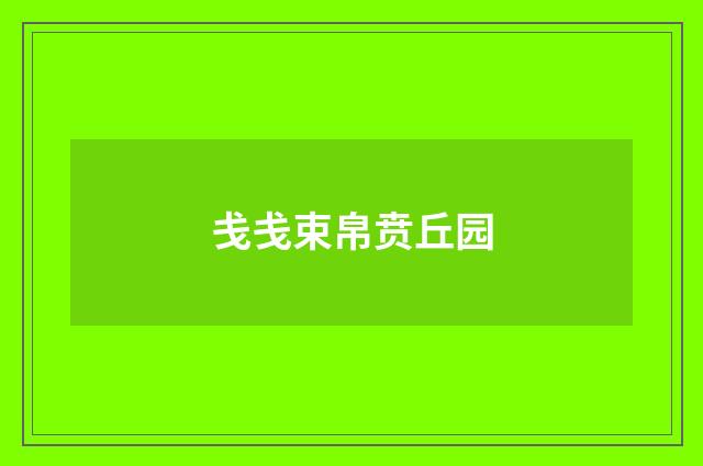 戋戋束帛贲丘园