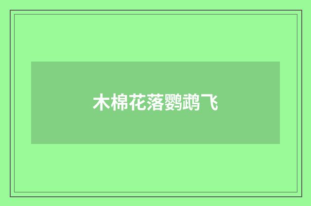 木棉花落鹦鹉飞