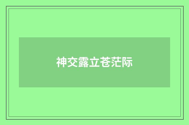 神交露立苍茫际
