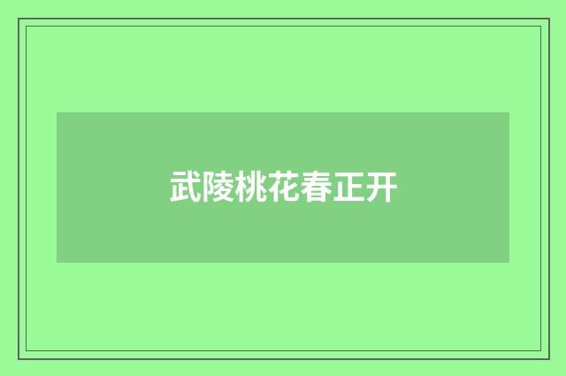 武陵桃花春正开