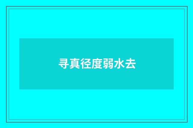 寻真径度弱水去