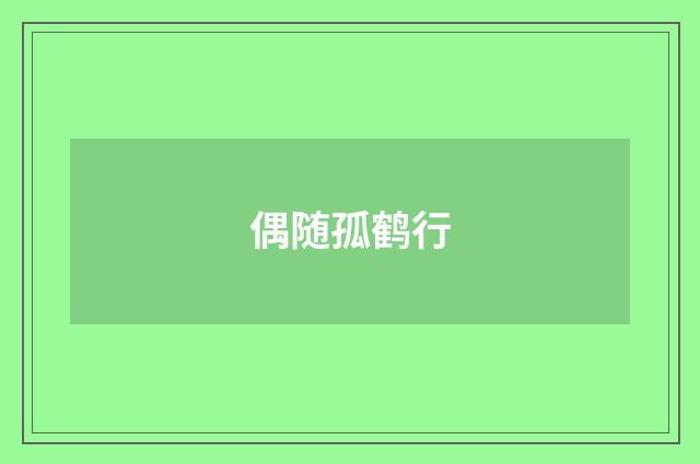 偶随孤鹤行