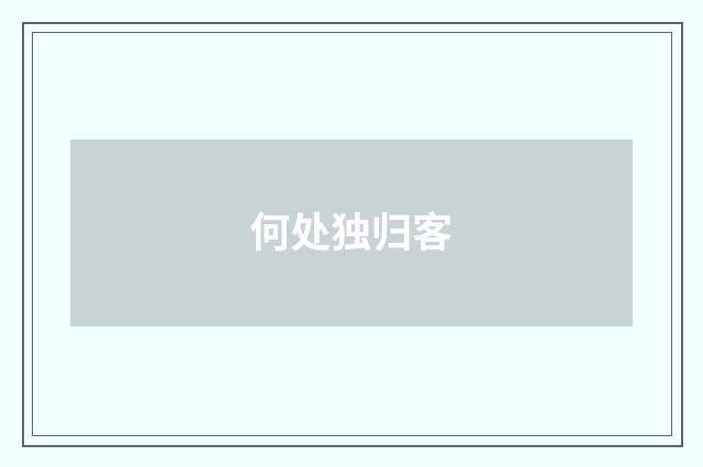 何处独归客