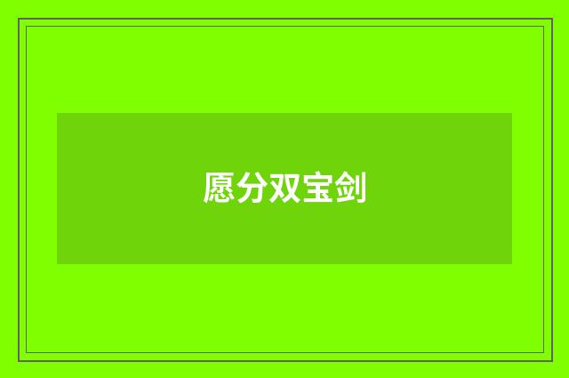 愿分双宝剑