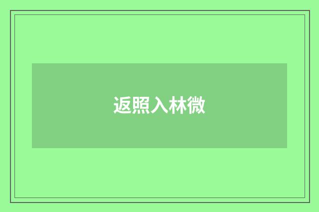 返照入林微
