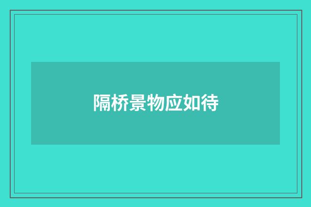 隔桥景物应如待