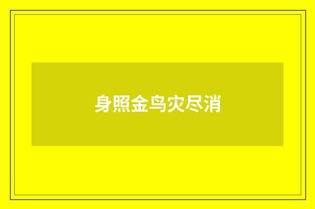 身照金鸟灾尽消