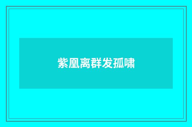 紫凰离群发孤啸
