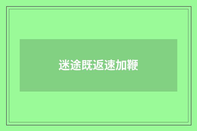 迷途既返速加鞭