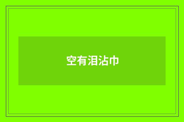 空有泪沾巾