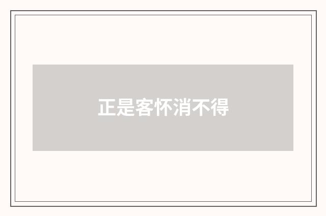 正是客怀消不得