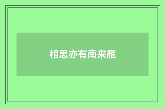 相思亦有南来雁
