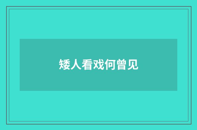 矮人看戏何曾见