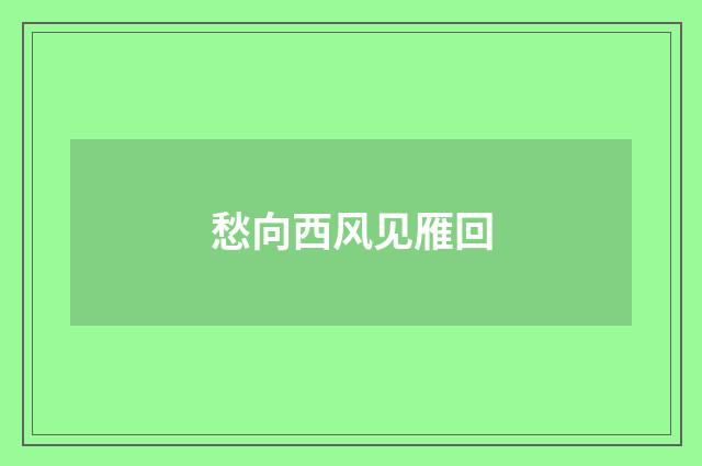 愁向西风见雁回